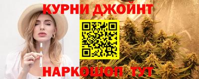 гашик Берёзовский