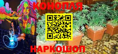гашик Берёзовский