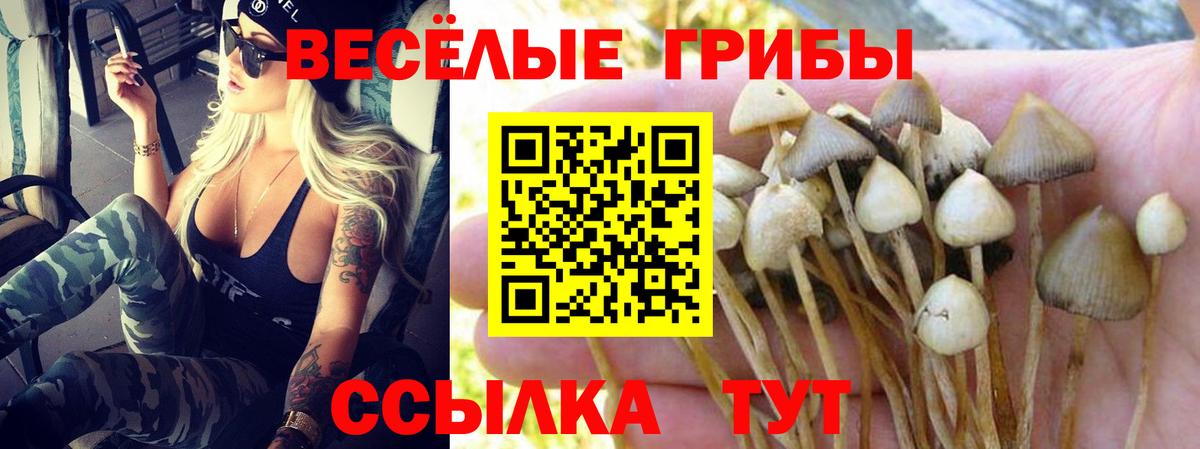 Каменск-Шахтинский  Псилоцибиновые грибы GOLDEN TEACHER  Вход с VPN 
